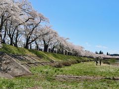 　川べりにも下りてみた。