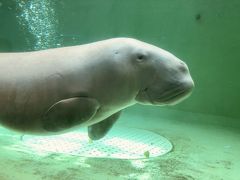 鳥羽水族館