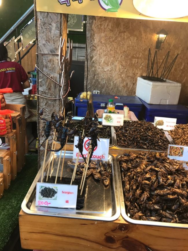 サソリ⁇<br /><br />出川が食べそうなゲテモノ料理。