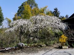 花錦という茶屋の庭