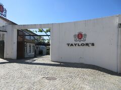 ワイナリー見学にやってきました。
ここは老舗の「テイラーズ」。