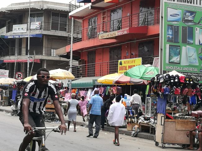 なかなか近づけて撮ること無理で…すべて遠目からしか撮れない…。