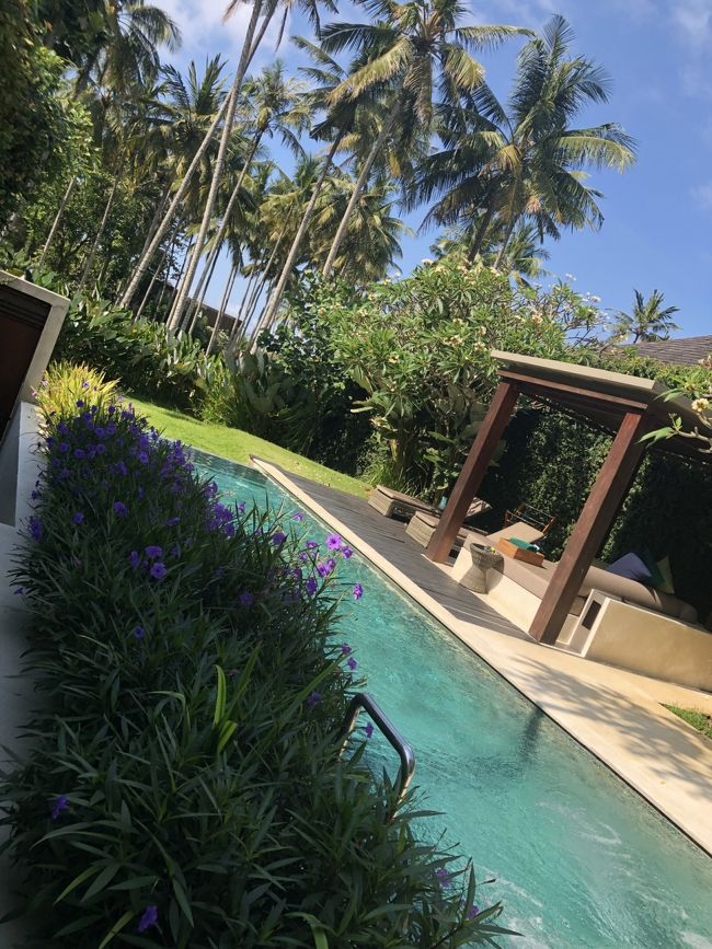 メインはこのプライベートプール！<br />想像どおりの大きさとクオリティ