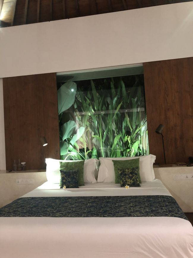 屋外の植物がセンスよく配置されたベッド