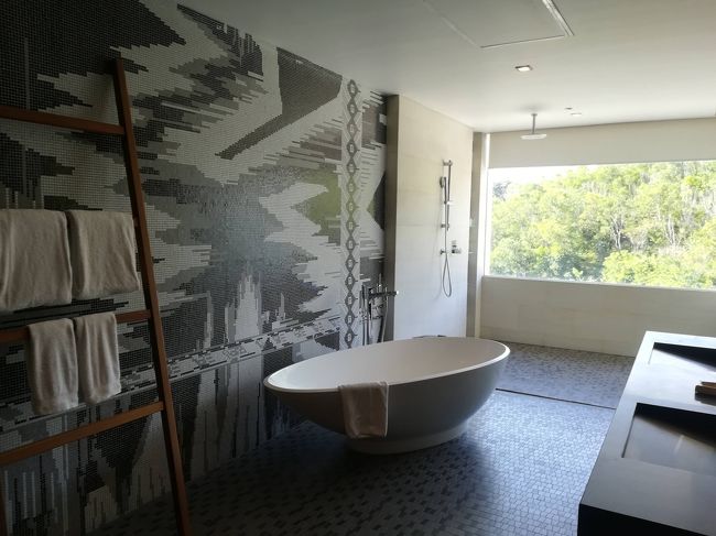 卵型の湯舟<br /><br />そして、絶対届かないところにあるタオル掛け（笑）