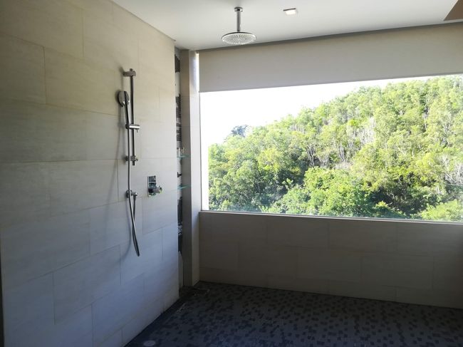 そして、とても大きな窓。<br /><br />緑が眩しい！！<br /><br />開けっ放しでも、前から見える心配なし。