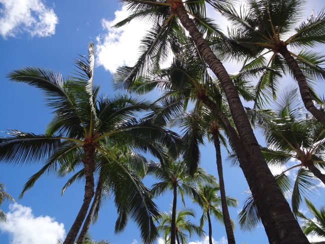 今日もいい天気。