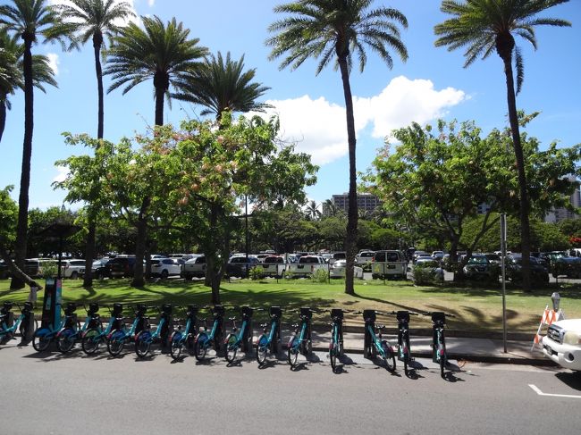 レンタサイクルもあるようです。