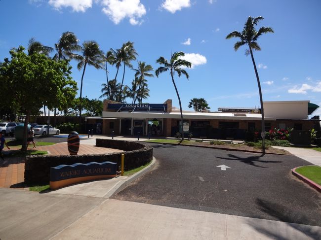 アクアリウム。入り口には人がいっぱいいました。