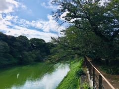 「空手って？」という長男を誘って、先日の柔道に続いて日本武道館へ。とか言う私も、ＴＶでこそ観たことはあるものの、空手競技を生で観たことがありません。

千鳥ヶ淵近くの風景です。