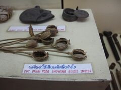 オピウム博物館でこの一帯で生産されていたアヘンについて見て回る。(過去形でいいんだよね？)