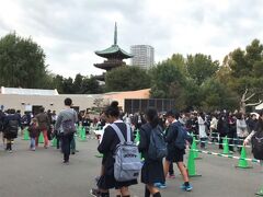 庭園を出て上野動物園へ行ってみました。
上野公園側の表門から入ると、パンダを見る人が長い列を作っています。

上野動物園東園の園内には、国の重要文化財に指定されている「旧寛永寺五重塔」があります。
