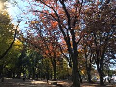 上野公園内の散策路もすっかり色づいています。
すでに暦の上では冬。東京の紅葉はこの頃がようやく見頃のようです。
