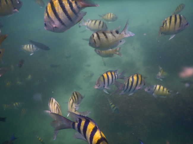 ものすごく間近で撮れましたp(^^)q