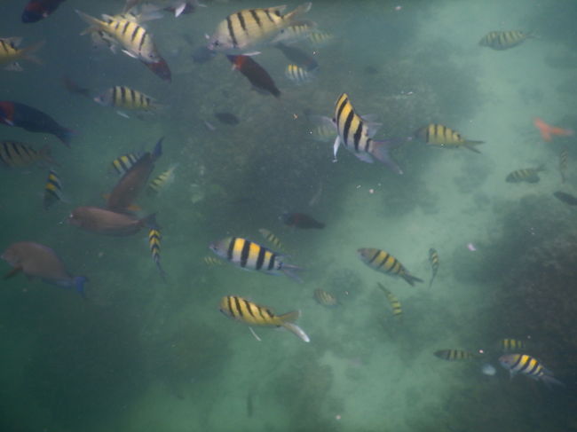 幻想的な世界パート2((o(^∇^)o))