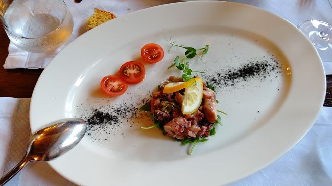 タコのサラダを頂きました。きれいな盛り付けでビックリです。