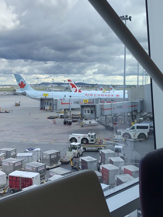 2019．9月旅　帰国空港編 ラガーディア空港→モントリオール空港→成田空港に到着したら陸の孤島になっていた