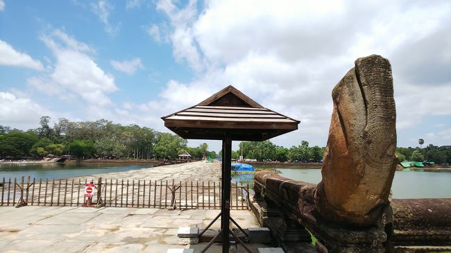 こちらが修復中の参道です。<br />もうすぐ、出来上がるといってましたよ。<br />でも未定・・・だって!(^^)!