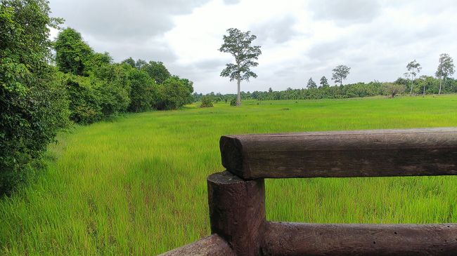 この小さい寺院の隣には大きな沼。<br />散歩コースになっていて舟にも乗れるらしいが、そんな気配はなく。<br />水草と蓮だらけ。<br /><br />花が咲いていたらきれいでしょうね。<br />