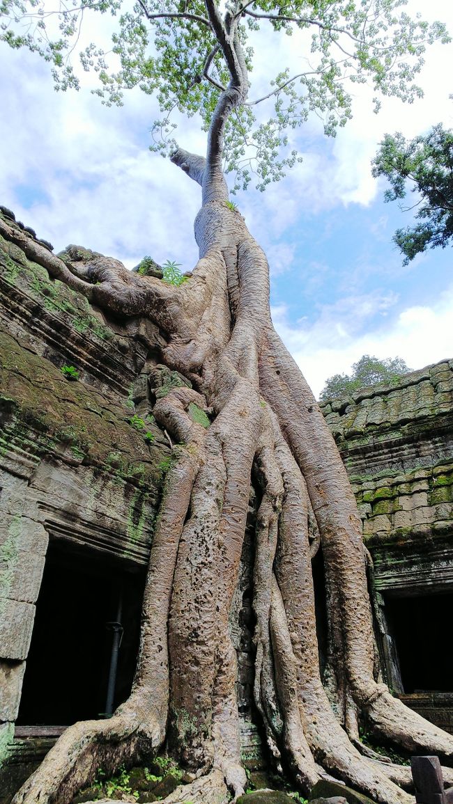 また40分揺られ中心街に戻ってきました。<br />道路が悪くて、眠ってる暇はありません！しっかり支えてないと。<br /><br />タ・プロム。<br />晴れていると、この間見た時とは全然違いますね！<br />来てよかった。