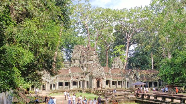 晴れていると、木が生き生きとしてます。<br /><br />でも。暑い～