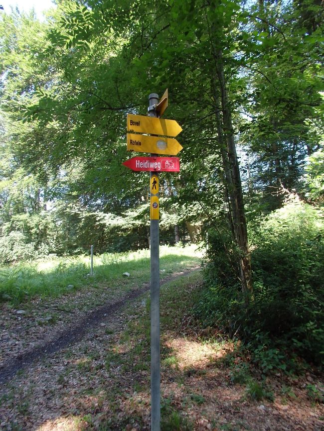 長閑な葡萄畑の中をハイキング<br /><br />無事にハイジの道に戻れました^^;<br />