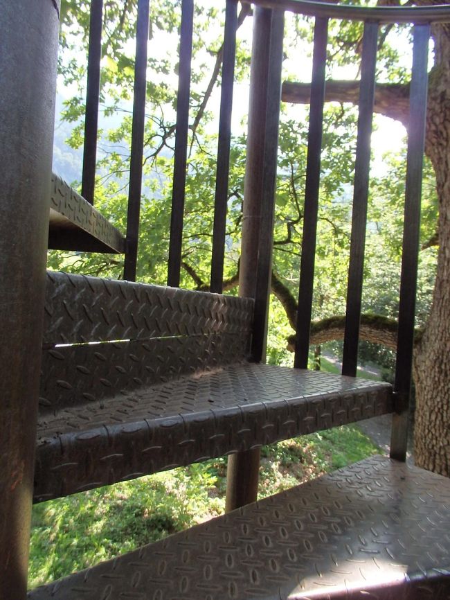 誰もいないので、狭い幅でもすれ違う心配もありません。