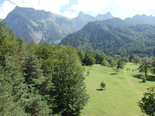 確かに高いところからの眺めはいいのだけれど、そばの木が邪魔になってしまってます。