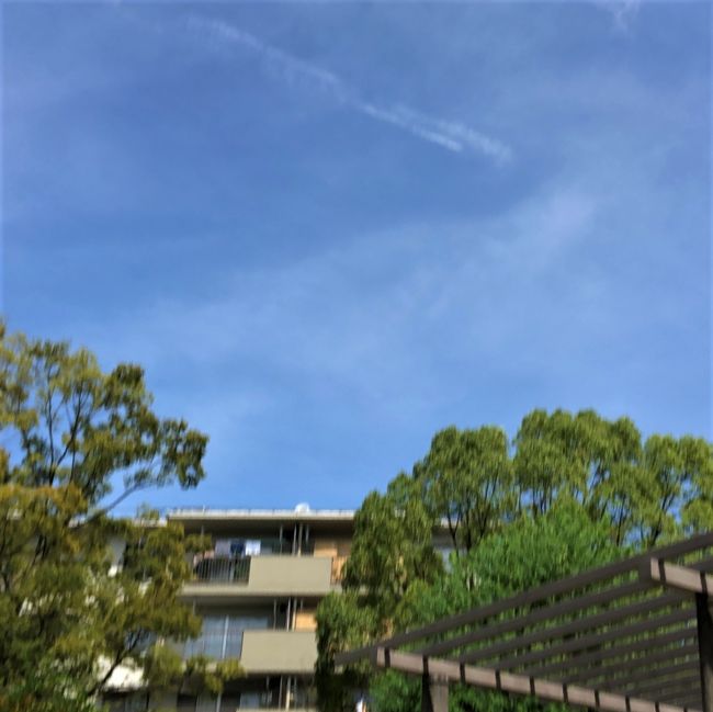 春日井の空は汗だくになるほど良い天気です。