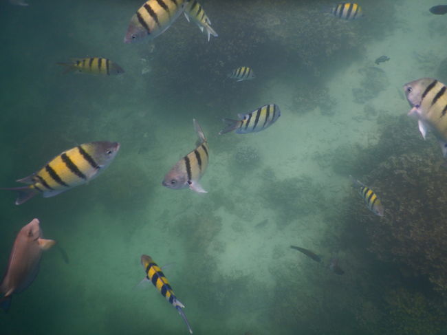  幻想的な世界パート3((o(^∇^)o))エサのパンをあげてる最中、この世界が見られます(^-^)v