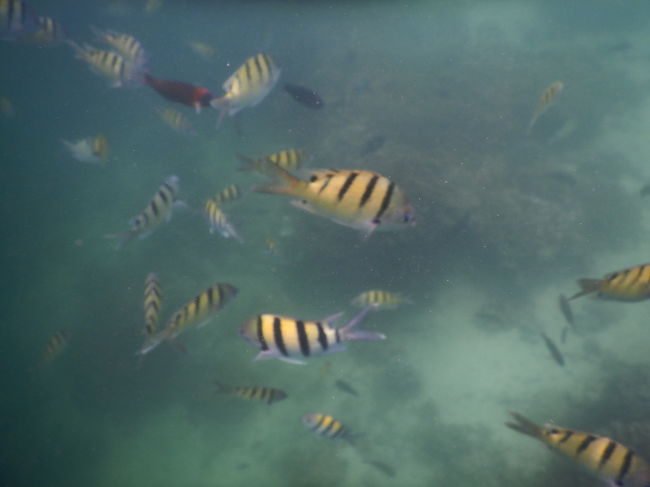 幻想的な世界パート4