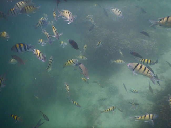 幻想的な世界パート5p(^^)q