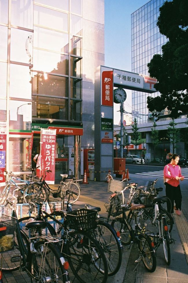 足元はこんな感じだけれどね。