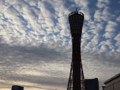 とても満足なランチを済ませて、いったん三宮駅まで電車で戻り、コインロッカーから荷物を取り出し、ホテル行きのシャトルバス乗り場へ。けっこう駅周辺がゴチャゴチャしてて、乗り場までスムーズに辿り着けなかった…　駅ビルで惑わされたね。

ホテルにチェックインして、ゆっくりしていたら、夫が「カワサキワールドに行きたい」とゴネはじめたので、行く事に。

逆光なポートタワーを横目にとことこ歩いて