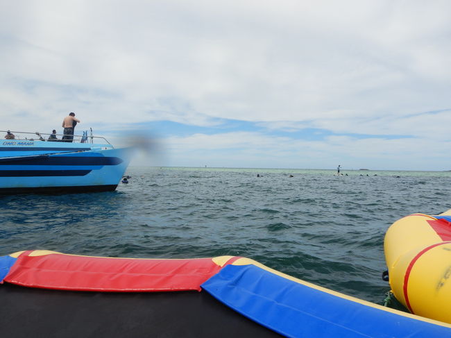 バンピングの中に入り、寝そべって撮った風景です(^-^)寝そべっているだけでも気持ち良かったですp(^^)q