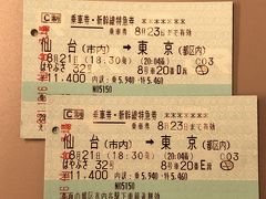 前日の8月21日，いよいよ旅の始まり♪
東北新幹線 仙台18:30発 はやぶさ32号に乗り羽田空港を目指します．座席指定はスーツケースをシートの背面に置ける20番D席とE席を確保しました．みさぱぱ夫婦はスーツケース2個と，それぞれリュックを背負って旅立ちです．