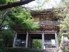 まずは竹林寺へやってきました。
ここは、四国八十八ヶ所の第31番札所です。

緑の中の山寺っぽい雰囲気がいい！
平日だから人もほとんどいないし。
静寂が境内に広がっています。