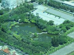 中山公園。
綺麗な池でしょ？