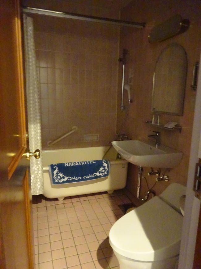 水回りはとても清潔。お世辞にも広いとは言えませんが、間取りをやりくりしてなんとか収めた感アリアリ。コンパクトで、一人旅には十分です。