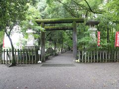 電車撮影だけでは大人げないので・・・
県庁前電停から歩いて山内神社に向かいます。