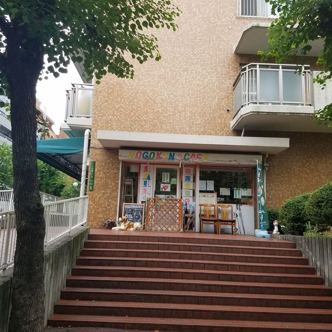 かき氷とワンコに会いに大阪 大阪の旅行記 ブログ By みなぽこさん フォートラベル かき氷とワンコに会いに大阪 大阪の旅行記 ブログ By みなぽこさん フォートラベル