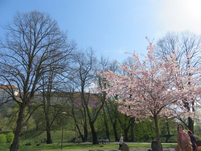 朝は快晴<br />でも予報は下り坂