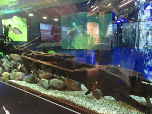 外は雨が降りだしたけど次へ