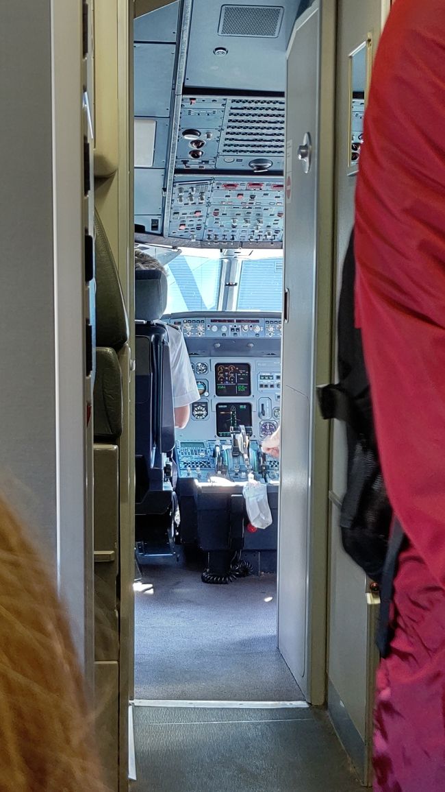 二列目の席を取ったので、コックピットが見えました。スイッチがたくさんあります。