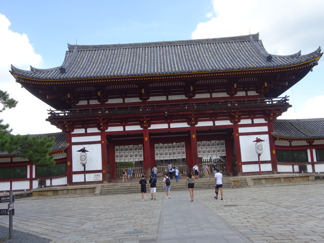 ホテル泊が目的とは言え、せっかくの奈良です。少しは観光もしなくちゃ！<br />取り敢えず近場の東大寺へ。<br /><br />ホテルで教えてもらったとおりに、路線バスに乗りました。奈良ホテル前から奈良駅行のバスに乗り、市役所前で下車、道の反対側のバス停からまっすぐ行くバスに乗ります。東大寺前が目的地。スムーズに行けました。