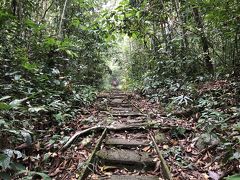 グヌン ガディン国立公園 (Gunung Gading National Park)