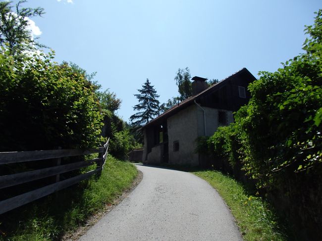 この先にハイジハウスがあります。