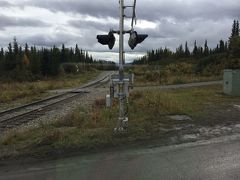 アラスカ鉄道の踏切を渡るときに目に見えない妖精？（風の子）を乗せるために
バスはドアを一瞬開けます。
元々は汽車が来る音を聞くためだそうです。