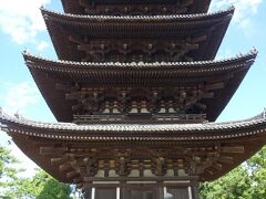 興福寺の五重の塔。奈良だよ、っていう証拠写真です。
阿修羅の像も拝観しましたが、撮影禁止でノーフォト。

暑くて早々に退散しました。