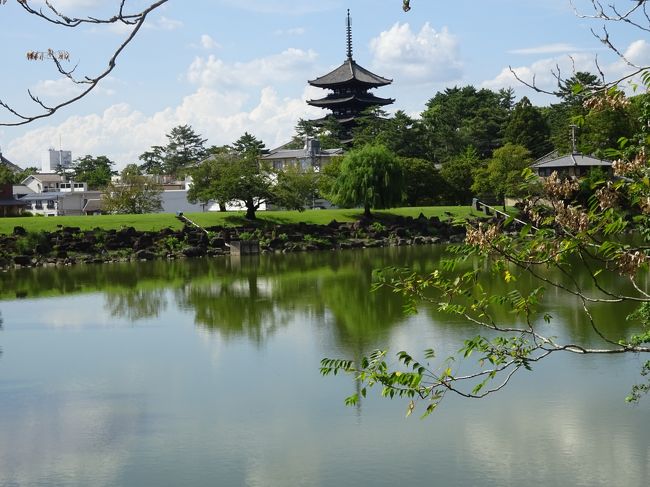 自分ではすっかり忘れていたのですが、JRホテルズのメンバーだからというので、チェックアウトを13時まで延長して頂けました。なので、お部屋でしばしのんびりした後、チェックアウトを済ませました。<br /><br />関空へ戻るバスは夕方なので、興福寺までちょいとお散歩です。鹿のいる辺りを抜けて、五重塔を目指します。